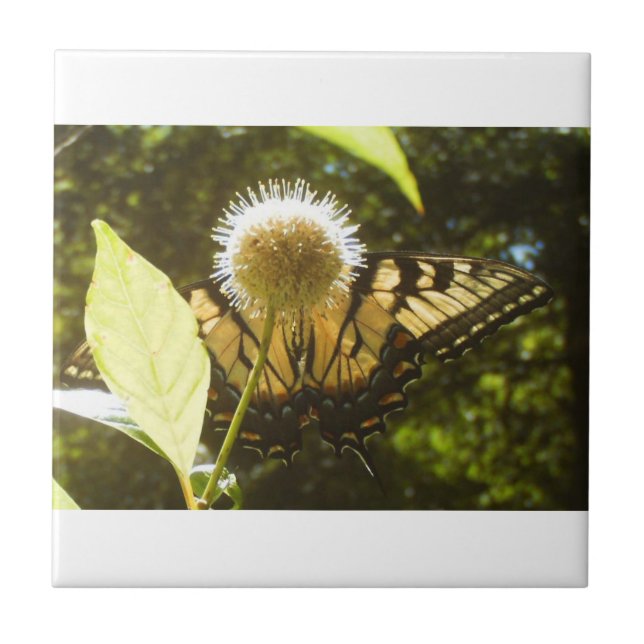 Azulejo Mosaico de cerámica de monarca amarillo (Frente)