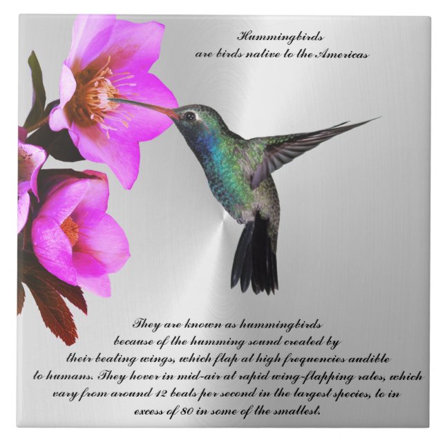Azulejo Mosaico de cerámica HUMMINGBIRD (Frente)