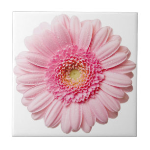 Azulejo Mosaico de cerámica rosa Gerbera Daisy