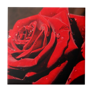 Azulejo Mosaico De Flor Rosa Rojo Sólido