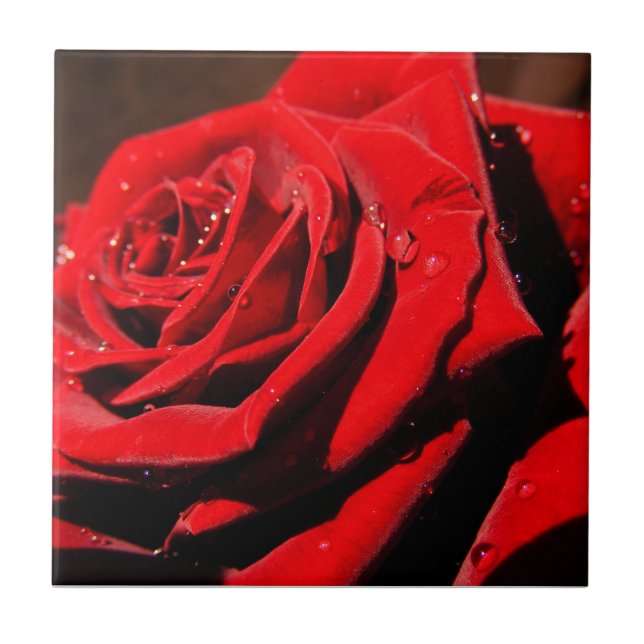 Azulejo Mosaico De Flor Rosa Rojo Sólido (Frente)