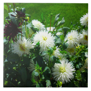 Azulejo Mosaico de flores blancas