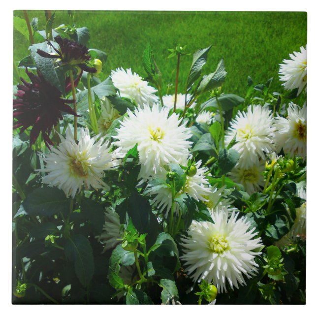 Azulejo Mosaico de flores blancas (Frente)