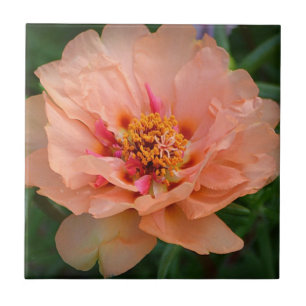 Azulejo Mosaico de flores de mar