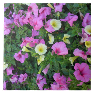 Azulejo Mosaico de flores de Petunia rosa y amarillo
