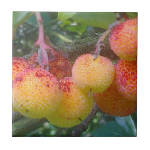 Azulejo Mosaico de frutas de fresa