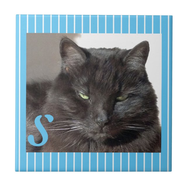 Azulejo Mosaico de gato cerámico personalizado (Frente)