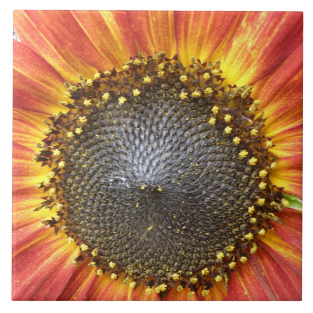 Azulejo Mosaico de girasol rojo y amarillo (Frente)
