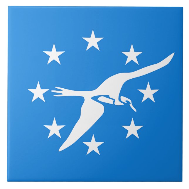 Azulejo Mosaico de la bandera de la ciudad de Corpus Chris (Frente)