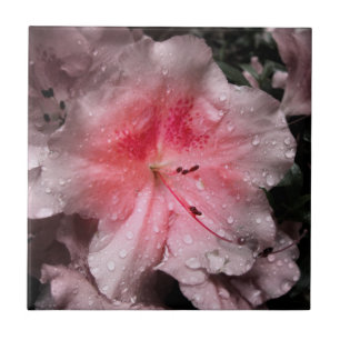 Azulejo Mosaico decorativo brillante interior