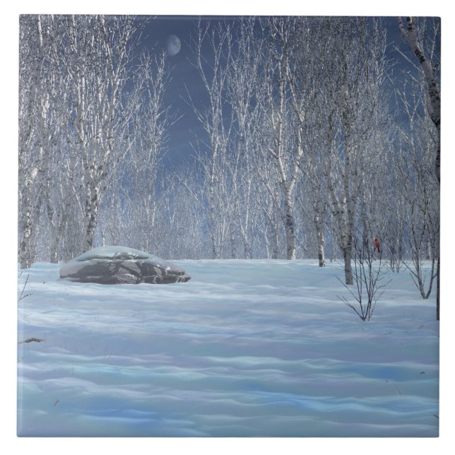 Azulejo Mosaico Decorativo De Luz Silenciosa (Frente)