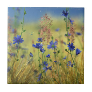 Azulejo Mosaico decorativo de oro / Trivet