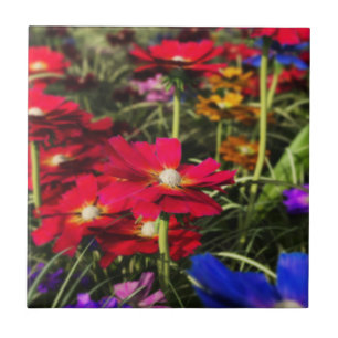 Azulejo Mosaico decorativo de primavera iridiscente