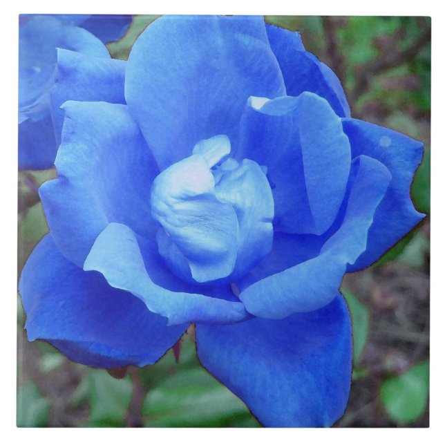 Azulejo Mosaicos de cerámica de Rosa azul místico (Frente)