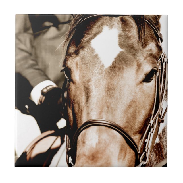 Azulejo Mostrar caballo (Frente)