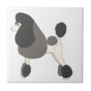 Azulejo Mostrar Caniche
