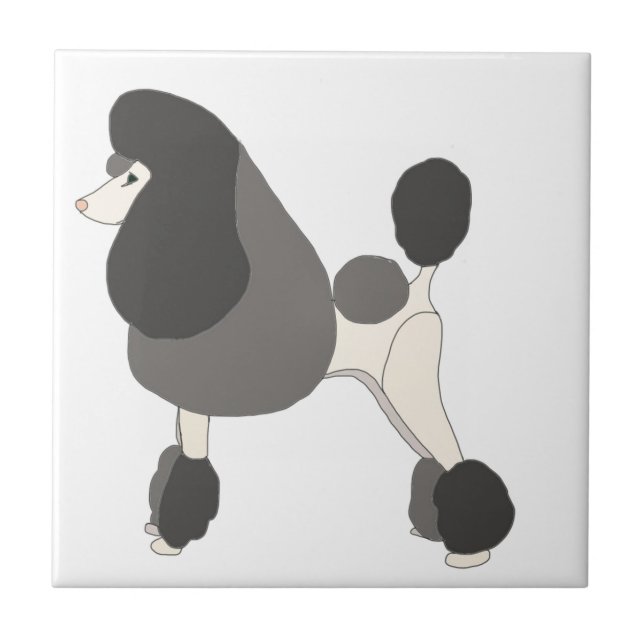Azulejo Mostrar Caniche (Frente)