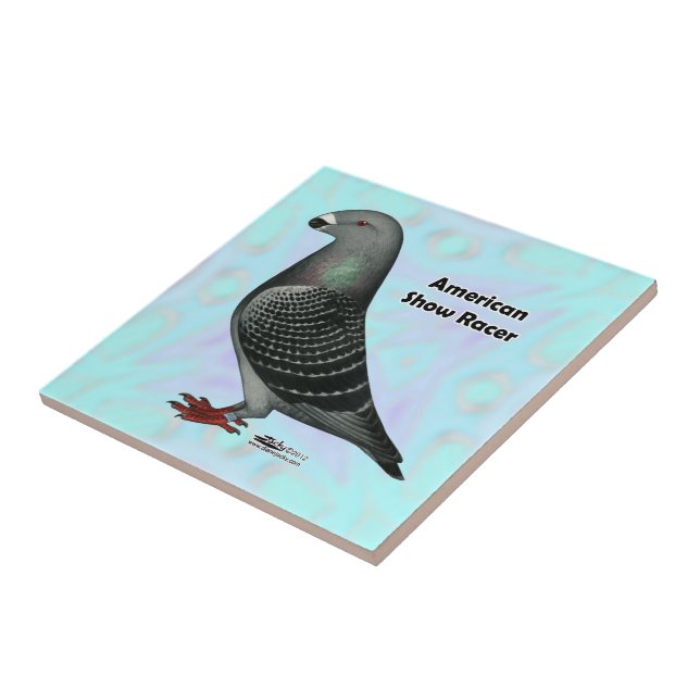 Azulejo Mostrar Racer ASR (Lado)