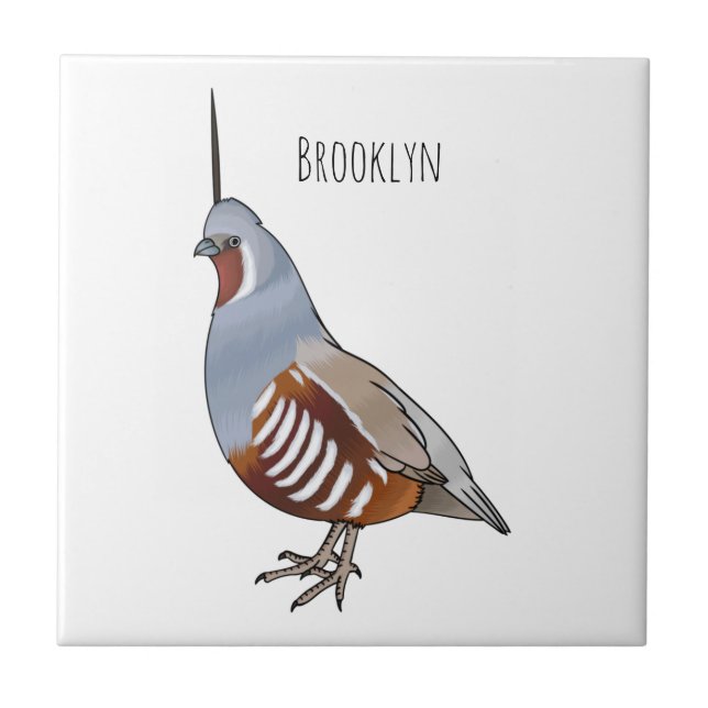 Azulejo Mountain quail bird cartoon illustration  (Frente)