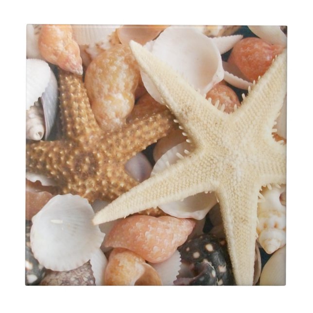 Azulejo Muchas azaderas (Frente)