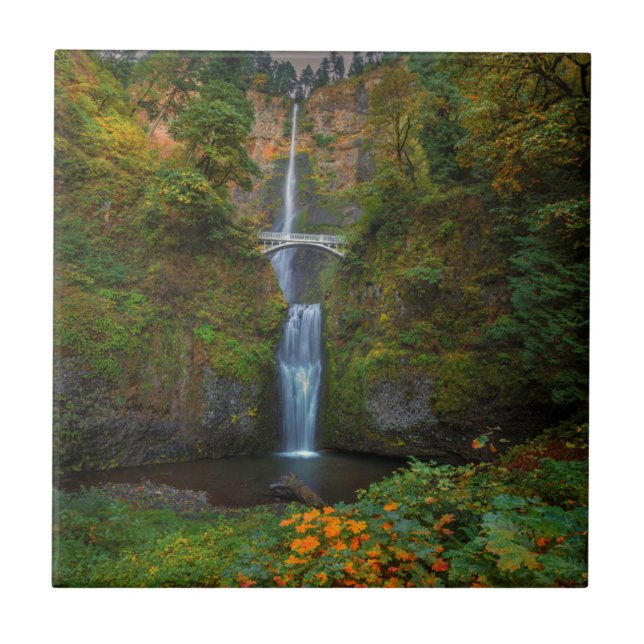 Azulejo Multnomah baja garganta del | el río Columbia, (Frente)