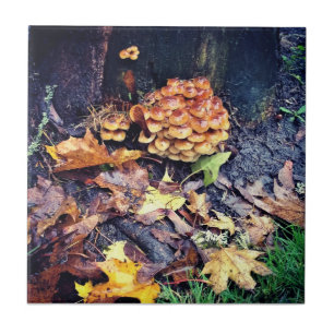 Azulejo Mushroom Village