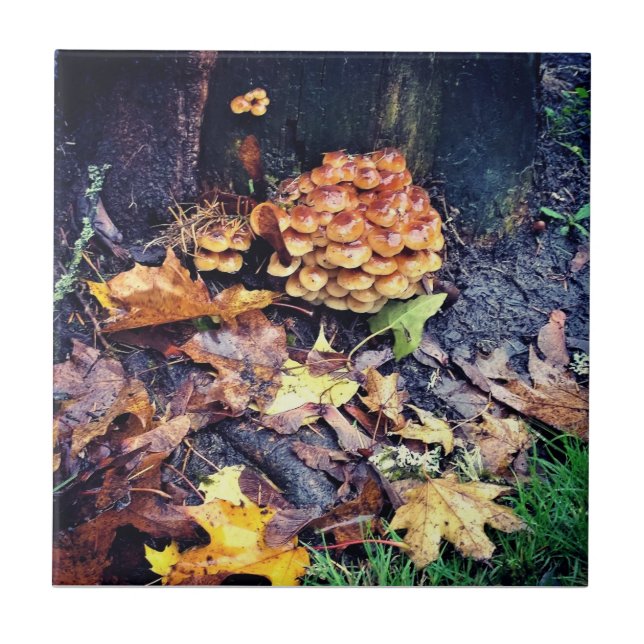 Azulejo Mushroom Village (Frente)