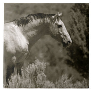 AZULEJO MUSTANG CERAMIC TILE