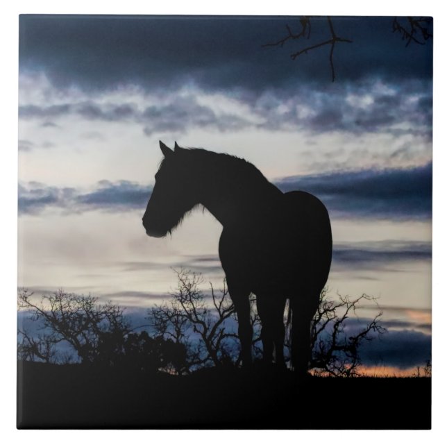 Azulejo Mustang y el Bella Artes de la tormenta (Frente)