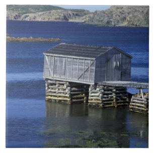 Azulejo N.A., Canadá, Terranova, Durrell.Pesca