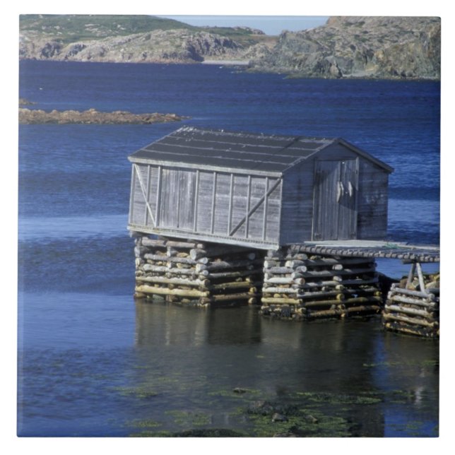 Azulejo N.A., Canadá, Terranova, Durrell.Pesca (Frente)