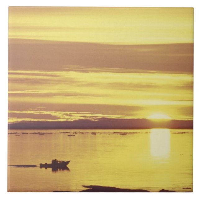 Azulejo NA, Canadá, Ártico canadiense, isla de Baffin (Frente)