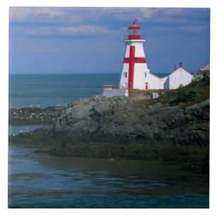 Azulejo NA, Canadá, Nuevo Brunswick, Isla Campobello. 4