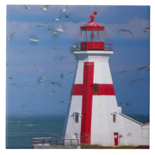 Azulejo NA, Canadá, Nuevo Brunswick, Isla Campobello. 8