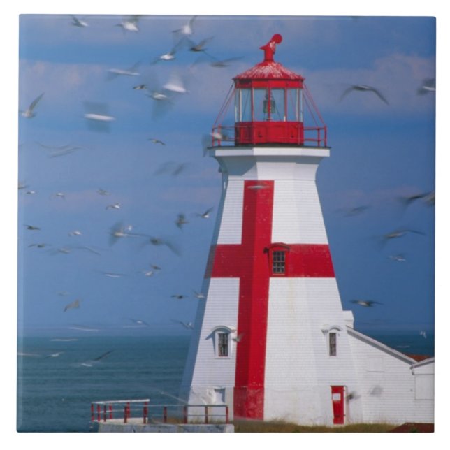 Azulejo NA, Canadá, Nuevo Brunswick, Isla Campobello. 8 (Frente)