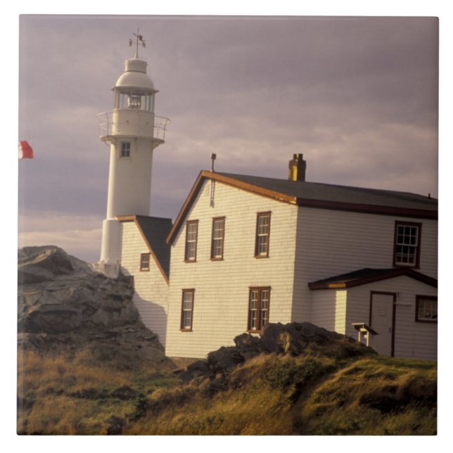 Azulejo NA, Canadá, Terranova, Lobster Cove. Lobo (Frente)