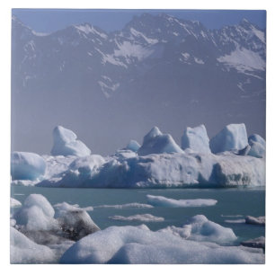 Azulejo NA, EE. UU., Alaska, Cordillera de San Elías, río 