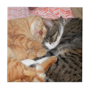 Azulejo Nap Buddies