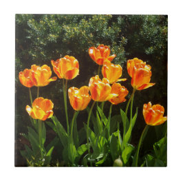 Azulejo Naranja Amarillo Tulips