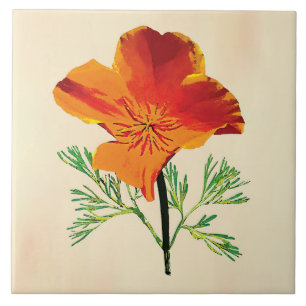 Azulejo Naranja California Poppy