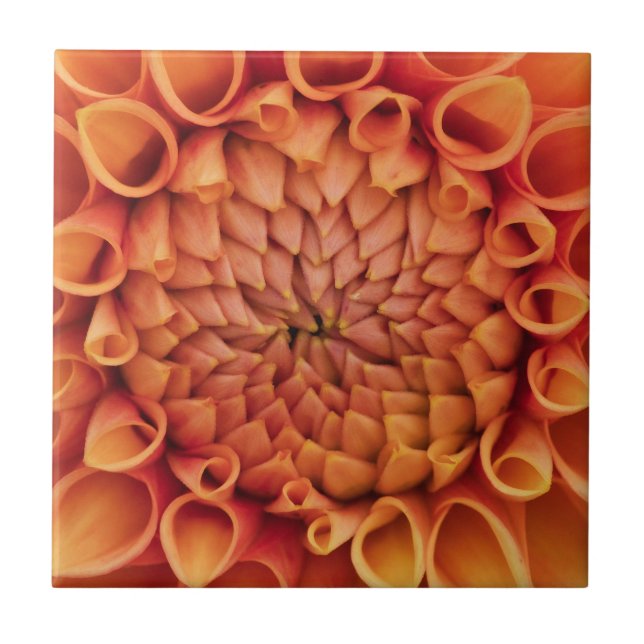 Azulejo Naranja central Dahlia Flower (Frente)