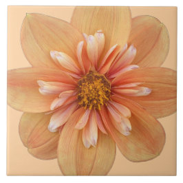 Azulejo Naranja Collarette Dahlia Floral