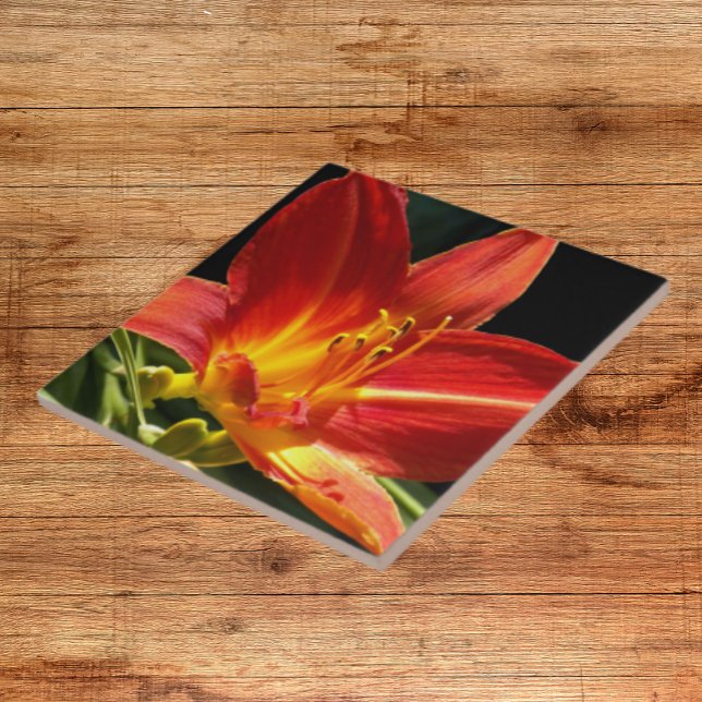 Azulejo Naranja Daylily Bloom Floral (In Situ)