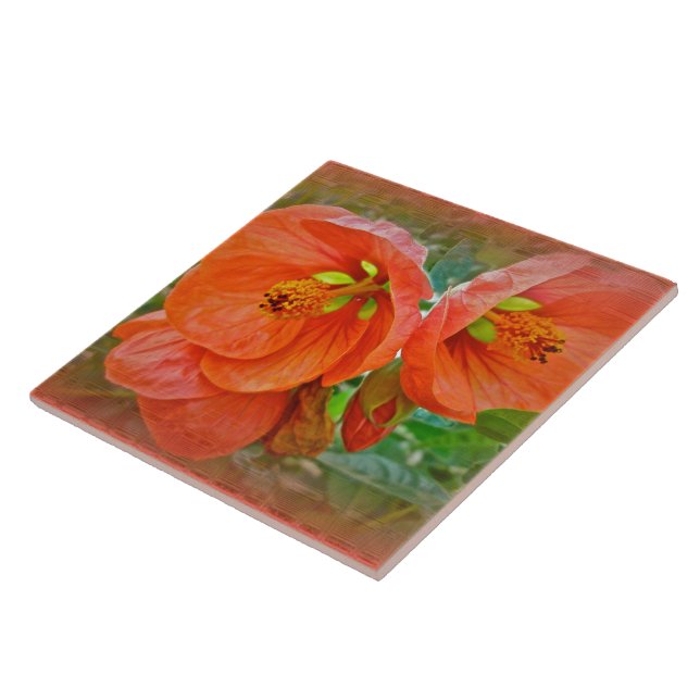 Azulejo Naranja Hibiscus Flowers (Lado)