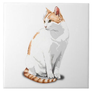Azulejo Naranja Jengibre y Gato Blanco Personalizado