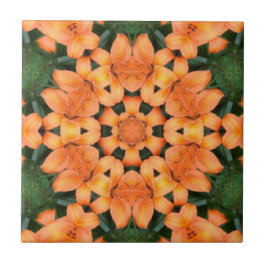 Azulejo Naranja Mosaico Floral Patrón Cerámico Tile
