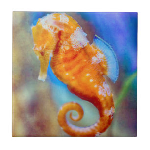 Azulejo Naranja Seahorse deleite
