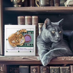 Azulejo Naranja Tabby Food Bowl Kitchen