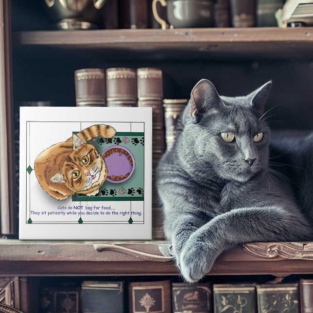 Azulejo Naranja Tabby Food Bowl Kitchen (Subido por el creador)