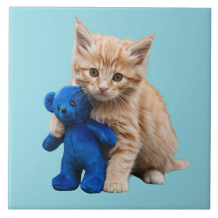 Azulejo Naranja Tabby Kitten y Teddy Tile decorativo